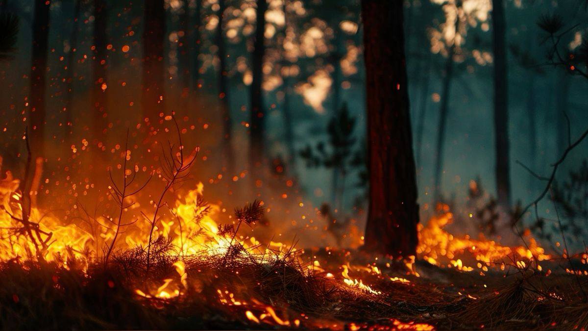 АПЕЛ СТАНОВНИШТВУ ИСТОЧНОГ СТАРОГ ГРАДА